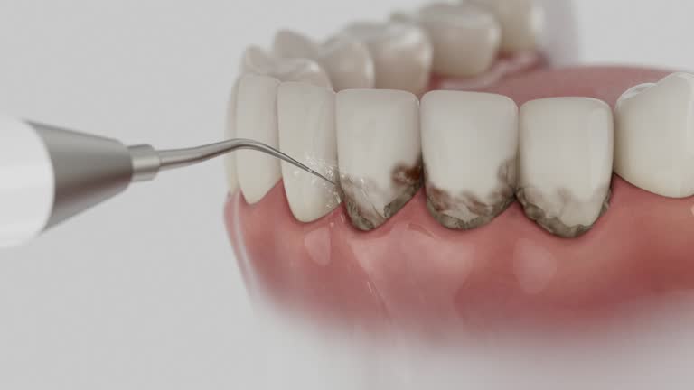 Reliable Dental contractor in Walnut Creek, NC by Dentist Open Now